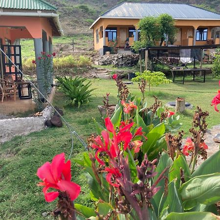 Mtowabaga Lake Natron Maasai Guesthouse المظهر الخارجي الصورة