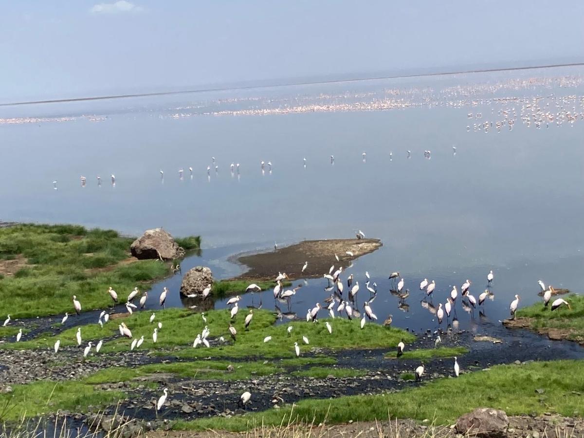Mtowabaga Lake Natron Maasai Guesthouse المظهر الخارجي الصورة