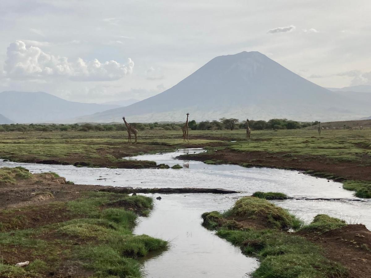 Mtowabaga Lake Natron Maasai Guesthouse المظهر الخارجي الصورة